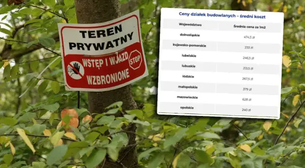 Ile kosztuje 1m2 działki budowlanej? Sprawdź aktualne ceny w Polsce
